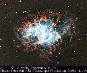 [Crab Nebula, Malin/Pasachoff, Palomar]