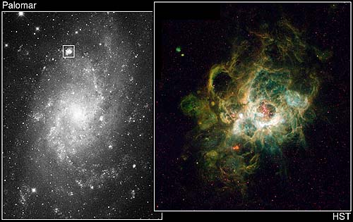 [NGC604.jpg]