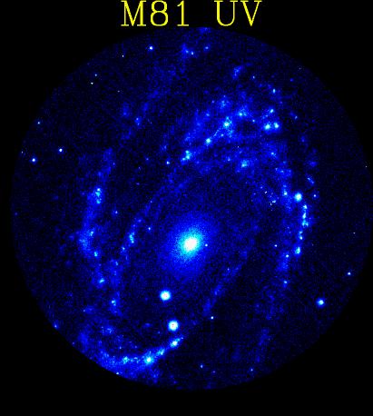 [M81 in UV, Astro-1/UIT]