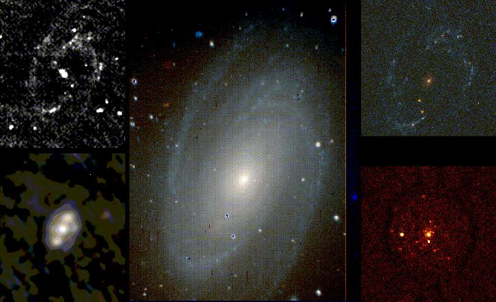 [M81 at different wavelengths series]