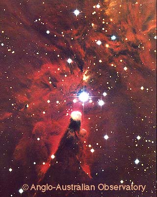 [NGC 2264, AAT]